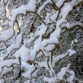 IMG_1227