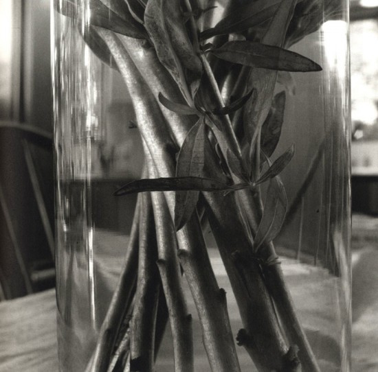 Lee Friedlander