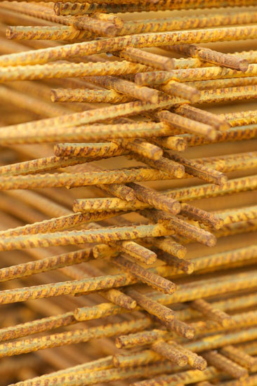 Rebar_DSC9997