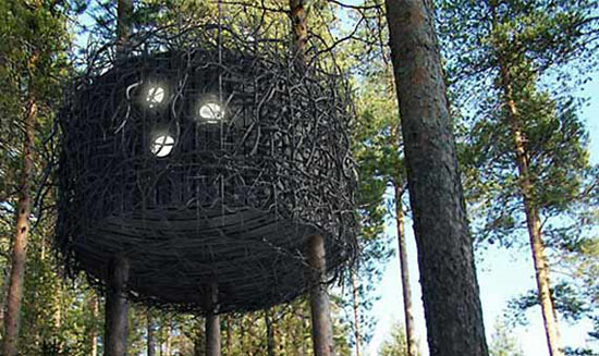 birds_nest_01