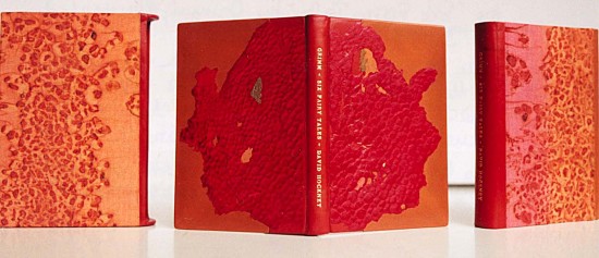studio bookb Grimm Hockney copy