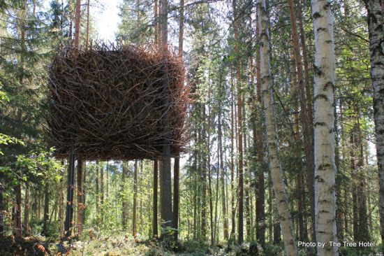 treehotel birds_nest